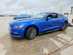 1FA6P8AM9H5344341 2017 FORD MUSTANG