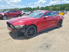 1FA6P8AM9H5345683 2017 FORD MUSTANG