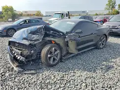 1FA6P8AMXG5224787 2016 FORD MUSTANG