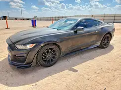 1FA6P8AMXG5229830 2016 FORD MUSTANG