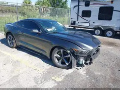 1FA6P8AMXG5259717 2016 FORD MUSTANG