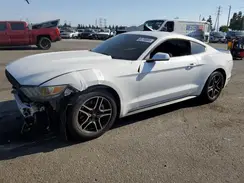 1FA6P8AMXH5210504 2017 FORD MUSTANG