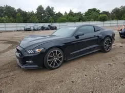 1FA6P8AMXH5212110 2017 FORD MUSTANG