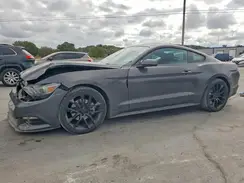 1FA6P8AMXH5215394 2017 FORD MUSTANG