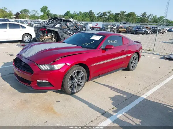 1FA6P8AMXH5226346 2017 FORD MUSTANG - Image 2