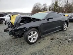 1FA6P8AMXH5226959 2017 FORD MUSTANG