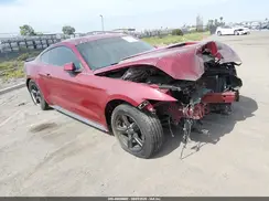 1FA6P8AMXH5234818 2017 FORD MUSTANG