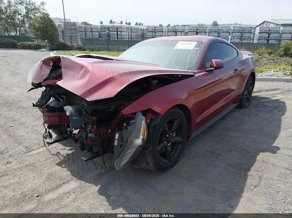 1FA6P8AMXH5234818 2017 FORD MUSTANG - Image 2