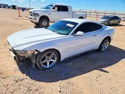 1FA6P8AMXH5235256 2017 FORD MUSTANG
