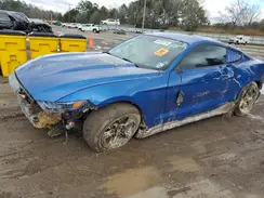 1FA6P8AMXH5246659 2017 FORD MUSTANG