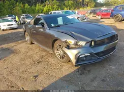 1FA6P8AMXH5247293 2017 FORD MUSTANG