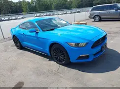 1FA6P8AMXH5250565 2017 FORD MUSTANG