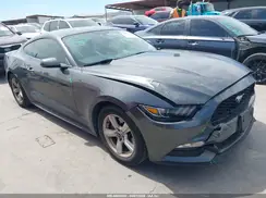 1FA6P8AMXH5251084 2017 FORD MUSTANG