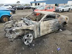 1FA6P8AMXH5255345 2017 FORD MUSTANG