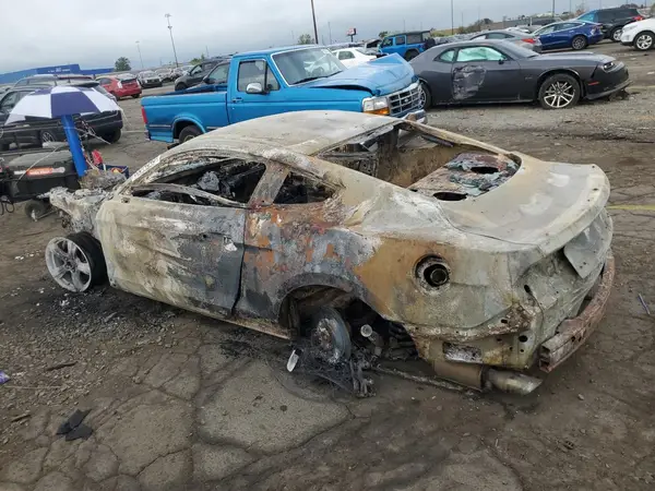 1FA6P8AMXH5255345 2017 FORD MUSTANG - Image 2