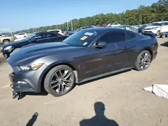 1FA6P8AMXH5259136 2017 FORD MUSTANG