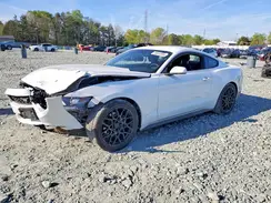 1FA6P8AMXH5264336 2017 FORD MUSTANG