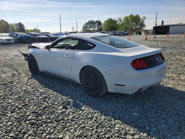 1FA6P8AMXH5264336 2017 FORD MUSTANG - Image 2