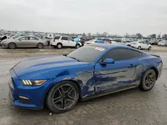 1FA6P8AMXH5275739 2017 FORD MUSTANG