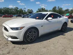 1FA6P8AMXH5276440 2017 FORD MUSTANG