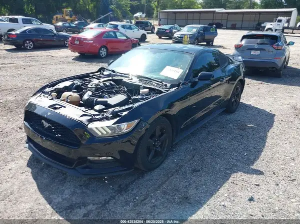 1FA6P8AMXH5286112 2017 FORD MUSTANG - Image 2