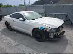 1FA6P8AMXH5311400 2017 FORD MUSTANG