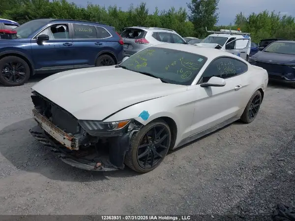 1FA6P8AMXH5311400 2017 FORD MUSTANG - Image 2