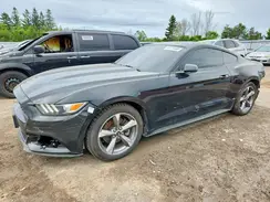 1FA6P8AMXH5314832 2017 FORD MUSTANG