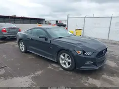 1FA6P8AMXH5335695 2017 FORD MUSTANG