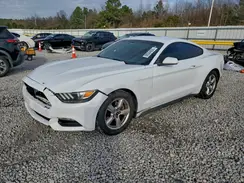 1FA6P8AMXH5339018 2017 FORD MUSTANG