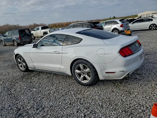 1FA6P8AMXH5339018 2017 FORD MUSTANG - Image 2