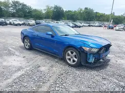 1FA6P8AMXH5342968 2017 FORD MUSTANG