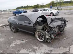 1FA6P8CF0G5256310 2016 FORD MUSTANG