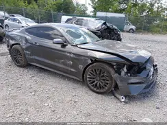 1FA6P8CF0K5131056 2019 FORD MUSTANG