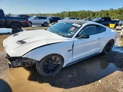 1FA6P8CF0K5151663 2019 FORD MUSTANG