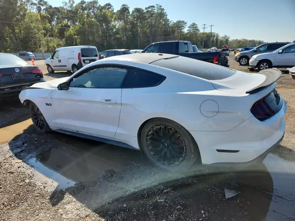 1FA6P8CF0K5151663 2019 FORD MUSTANG - Image 2