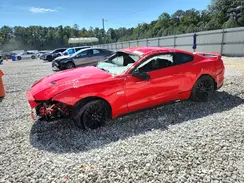 1FA6P8CF0K5156927 2019 FORD MUSTANG