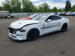 1FA6P8CF0K5157981 2019 FORD MUSTANG