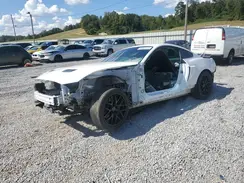 1FA6P8CF0K5191502 2019 FORD MUSTANG