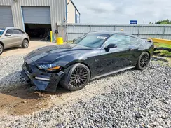 1FA6P8CF0K5201543 2019 FORD MUSTANG