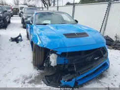 1FA6P8CF0R5406497 2024 FORD MUSTANG