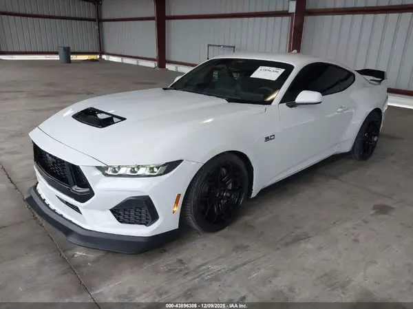 1FA6P8CF0R5428449 2024 FORD MUSTANG - Image 2