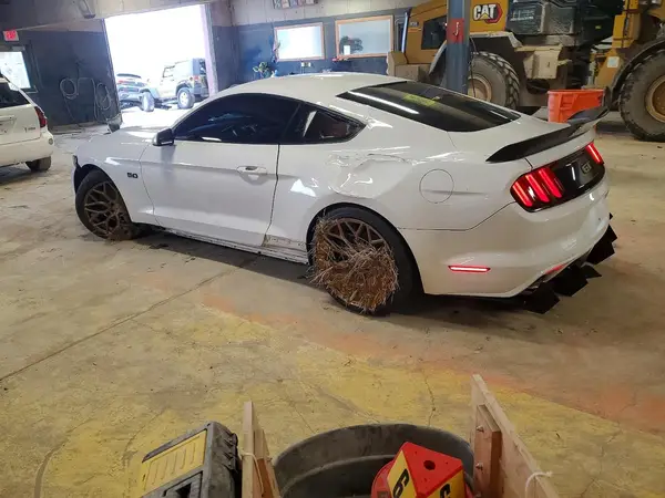 1FA6P8CF1G5301447 2016 FORD MUSTANG - Image 2