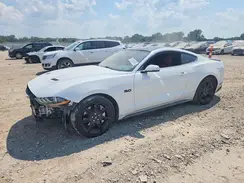 1FA6P8CF1K5113522 2019 FORD MUSTANG
