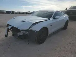 1FA6P8CF1K5118283 2019 FORD MUSTANG