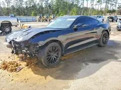 1FA6P8CF1K5129137 2019 FORD MUSTANG