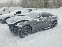 1FA6P8CF1K5155091 2019 FORD MUSTANG