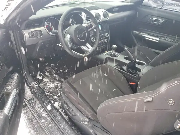 1FA6P8CF1K5155091 2019 FORD MUSTANG - Image 8