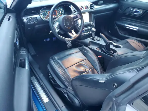 1FA6P8CF1K5157147 2019 FORD MUSTANG - Image 8