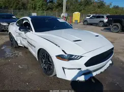 1FA6P8CF1K5161229 2019 FORD MUSTANG